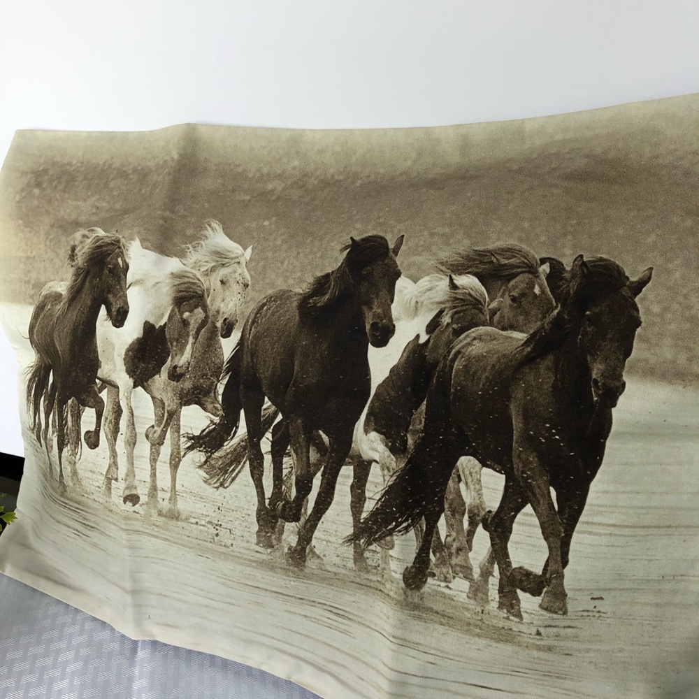 NEW Decorative Pillow Cover